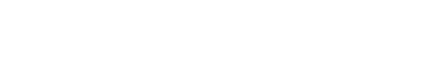 De Silva Theatrical Services Ltd.